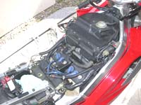 �^���N���O���ꂽ�m�q