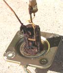 �R���Z���T