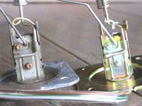 ���F�T�r���i�@�E�F�V�i