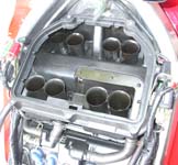 �G�A�N���[�i���Ƀt�@���l���������Ă���