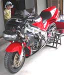 ���X�o�ꂷ��S������(^_^;