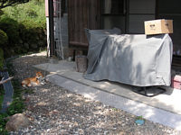 車体カバーを新調（まだ箱に入ったままだよ(^_^;）