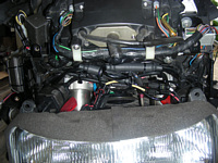 うーん、ぎゅう詰め