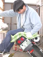 �K���o���l���D�x�i�΁j